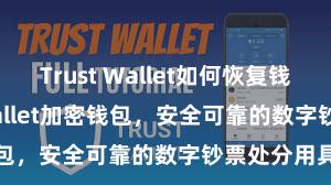 Trust Wallet如何恢复钱包 Trust Wallet加密钱包，安全可靠的数字钞票处分用具